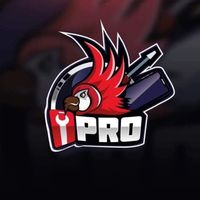 original sound - Ipro Kangar