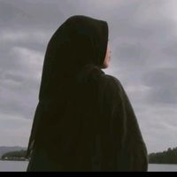 _hanisftr09
