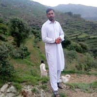 original sound - muneer Ahmad Daryab452