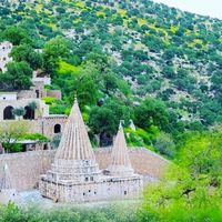 ezidi_1212