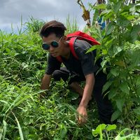 suara asli - bocah_pecicilan