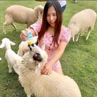 kanokporn212121