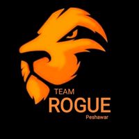 team.rogue.peshawar