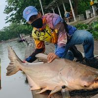 เสียงต้นฉบับ - LJFISHING