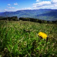 calatori_prin_romania