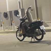 nhạc nền - @Đẹp trai học ngu