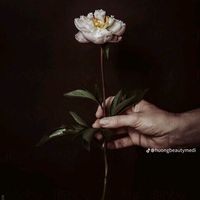 welcome_nomore