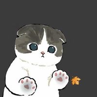 skirnigstto
