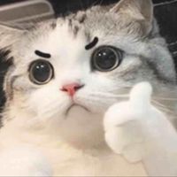 原聲 - 🤷🏿