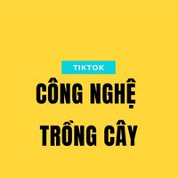 nhạc nền - Đời Sống Công Nghệ II✅