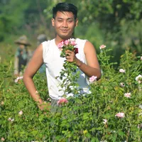 original sound - mgzaw798