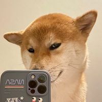 吴哥窟莫叫姐姐