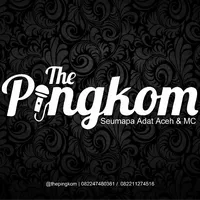 original sound - thepingkom