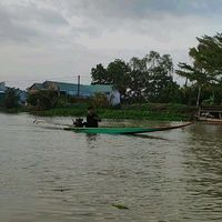 nhạc nền - FB Đoàn Văn Bo