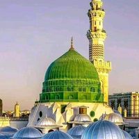mustafa_5052
