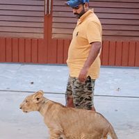 sheikhsamad78600