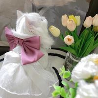 เสียงต้นฉบับ - ᥫ᭡