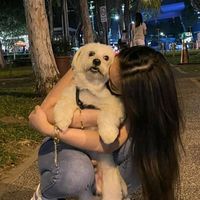 original sound - 🦋