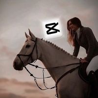 x.horse.edits