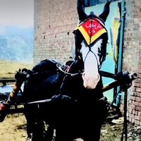 gujjar__68