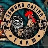 suara asli - Sawunggaling180