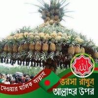 নিজস্ব শব্দ