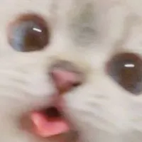 original sound - ilovecat163