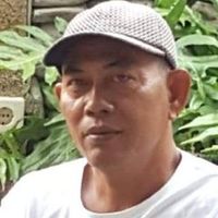 suara asli - pickobonsai