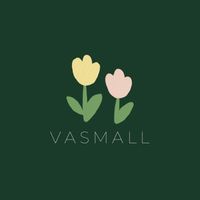 vasmall.official