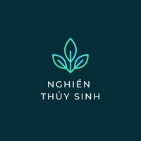 nghienthuysinh94