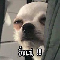 เสียงต้นฉบับ - หัวแคลน99🇹🇭(ช่องรอง)