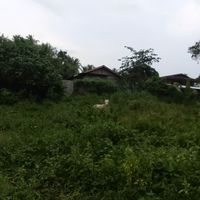 markbarbacena8