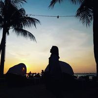 peris_wu
