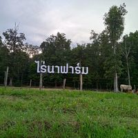 user43475909