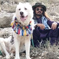 tahirshahwani11
