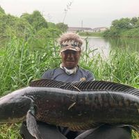 เสียงต้นฉบับ - OWEN C FISHING