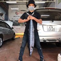 thanhthai1995