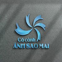 cacanhanhsaomai