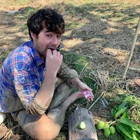 original sound - sianlanghouse