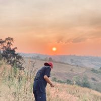 nax_420