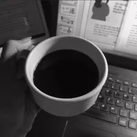 original sound - toana563