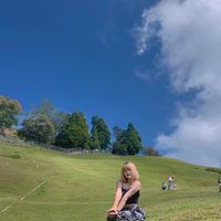 jane_0305_