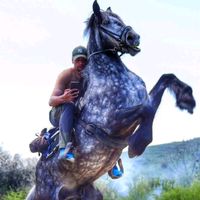 Promovari Cai Romania si FLORIN DE LA SARMAS