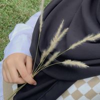 sn_nexr