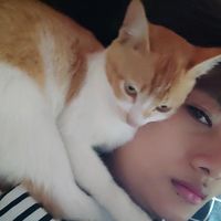suara asli - wanita introvert