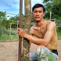 เสียงต้นฉบับ - ไผ เกษตรฟารม