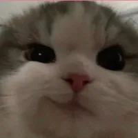 original sound - insp0.aesthetic