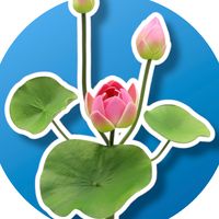 เสียงต้นฉบับ - อุบลราชธานี