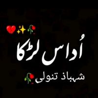 shehbaztanoli
