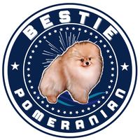 bestiepom